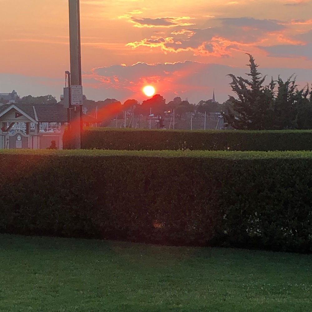 Meet your Posher, Genevieve